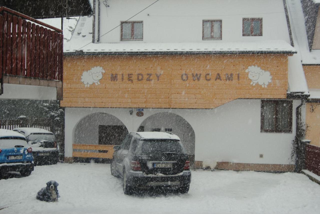Apartment Miedzy Owcami Sromowce Wyzne